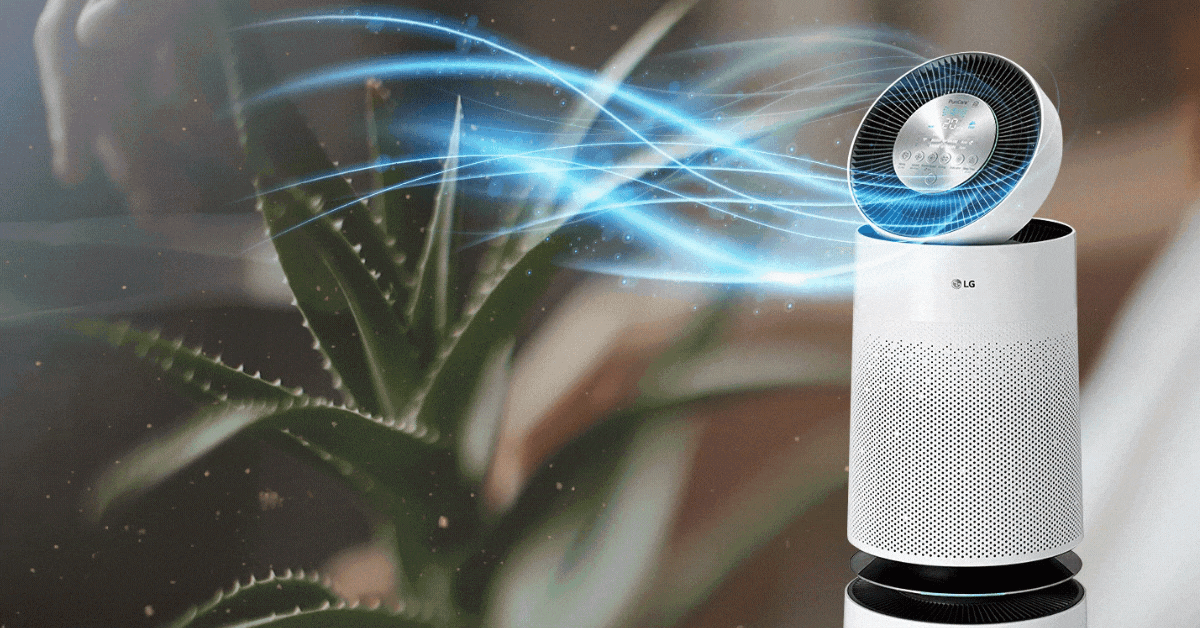 Best Air Purifiers in Singapore For Fresh Air, All Year Round Vanilla